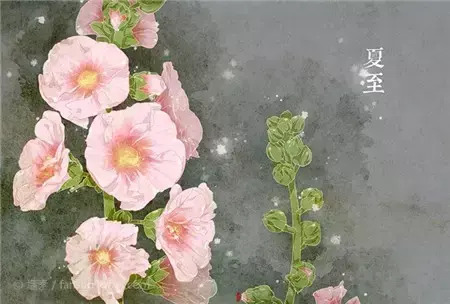 二十四节气-花卉手绘节气图【二十四节气-花朵手绘图片】