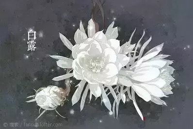 二十四节气-花卉手绘节气图【二十四节气-花朵手绘图片】