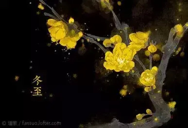 二十四节气-花卉手绘节气图【二十四节气-花朵手绘图片】