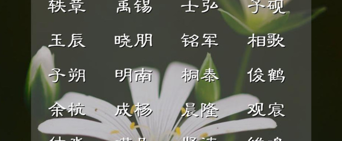 清冷高贵的男宝宝名字大全【诗词中清冷高贵的男孩名字】