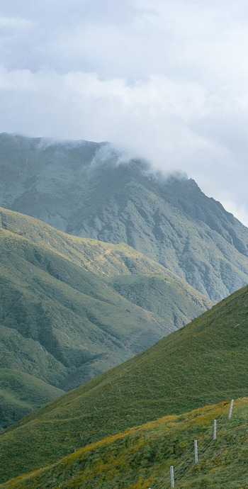 唯美清新绿色风景壁纸【清新的空气风景摄影壁纸】