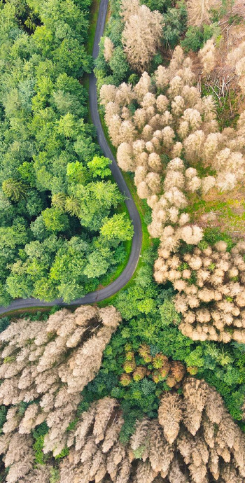 清新唯美的风景壁纸【景色优美背景图】