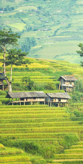 背景图片风景唯美【唯美的四季风景原图壁纸】