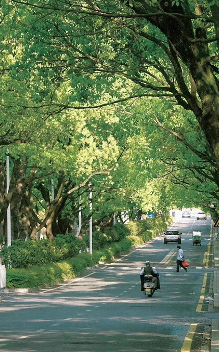 高清唯美风景壁纸【美丽自然花卉背景图 】