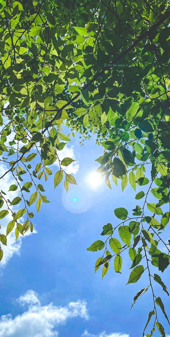 复古风壁纸【夏日清新壁纸】