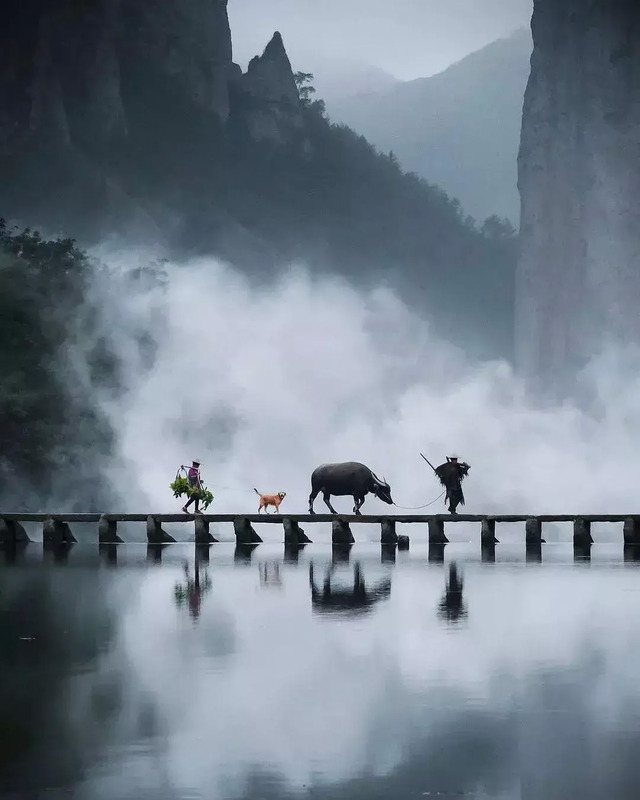 唯美意境背景图片【自然景色高清手机壁纸】