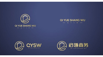 画册设计LOGO设计为什么要选择专业的设计公司？