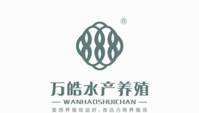 中式美学的品牌logo设计集锦【中国传统美学新中式logo设计】