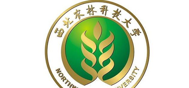 双一流大学校徽logo设计赏析【大学校徽logo设计赏析】