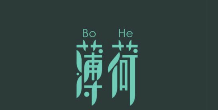 漂亮的汉字LOGO设计【优秀的LOGO视觉】