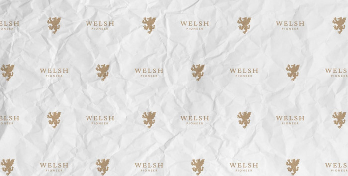 WELSH 蛋糕品牌设计欣赏 【蛋糕LOGO设计鉴赏】