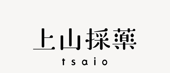 两只老虎工作室-标志设计作品欣赏【两只老虎工作室logo设计作品】