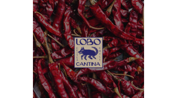 Lobo Cantina 墨西哥烧烤品牌 logo设计【烧烤店logo设计案例】