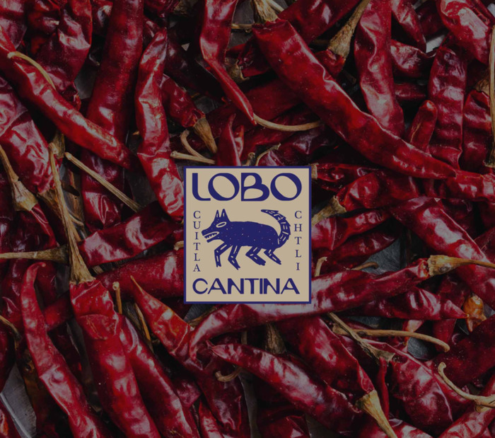 Lobo Cantina 墨西哥烧烤品牌 logo设计【烧烤店logo设计案例】