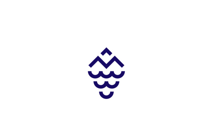 非常精彩的一波葡萄元素logo设计【水果葡萄logo设计】