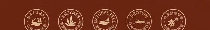 脱颖而出的鸡蛋品牌包装logo