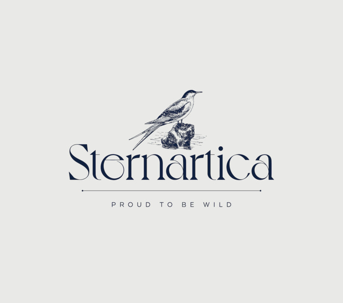 Sternartica 化妆品品牌logo设计【化妆品创意logo设计】