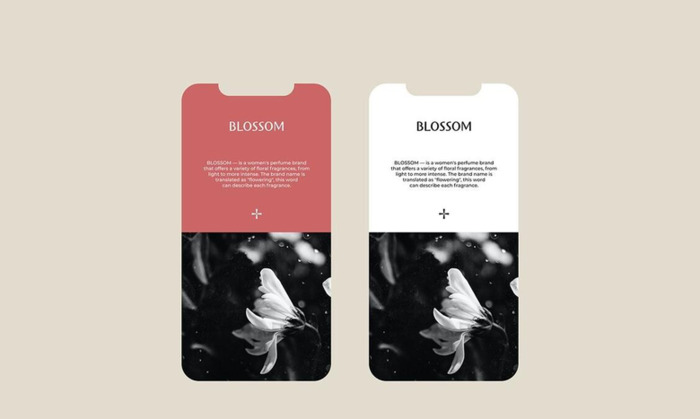 blossom 鲜花香水品牌logo