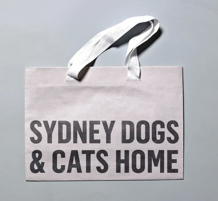 澳大利亚的非营利组织——Sydney Dog