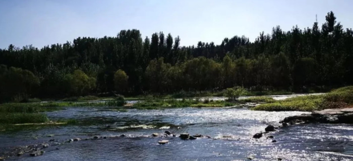 水景在景观设计中有哪些运用方式？【水景的形式和景观性】