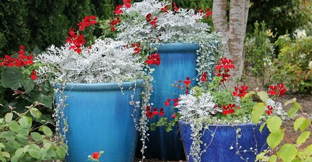 现代庭院花园景观设计有十大特性，你家院子满足几点？【花园景观设计特性】