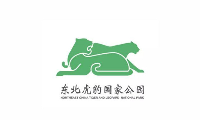 传达速度与力量的豹子元素创意logo设计【动物豹子logo设计】