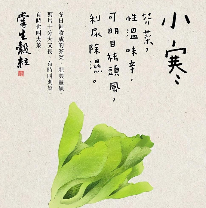 掌生谷粒的二十四节气海报设计【二十四节气海报设计灵感创作】