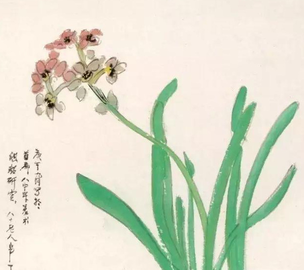 水仙花图片高清唯美 国画水仙花图片