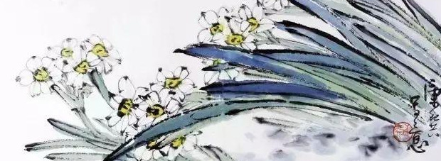 水仙花图片高清唯美【国画水仙花图片】