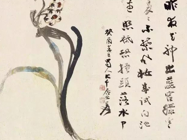 水仙花图片高清唯美【国画水仙花图片】