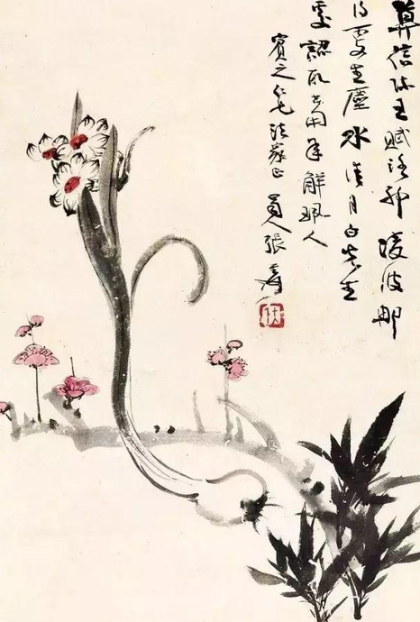 水仙花图片高清唯美【国画水仙花图片】