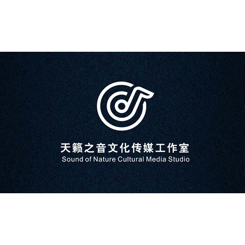 天籟之音文化傳媒工作室logo設計