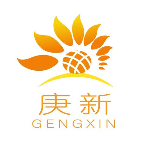 庚新logo设计