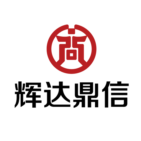 成都辉达鼎信金融服务外包有限公司logo设计