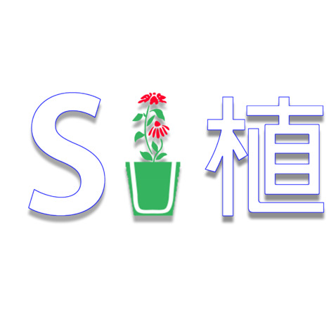 su植logo设计