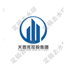 天恩龙控股集团