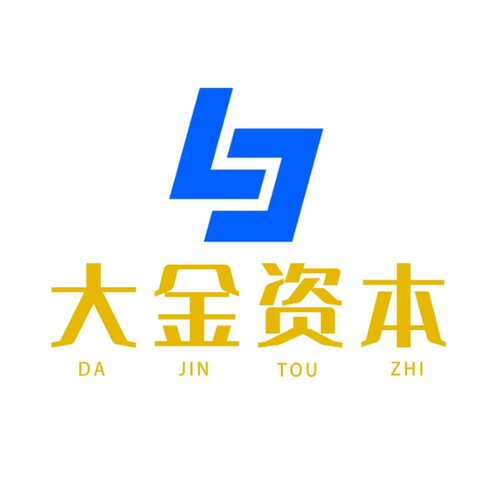 大金资本logo设计