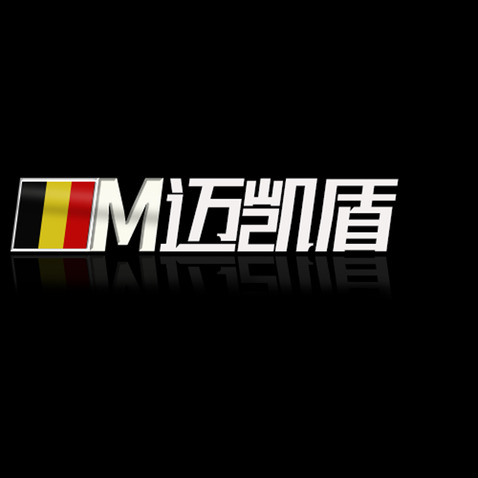 汽车用智能钥匙手表logo设计