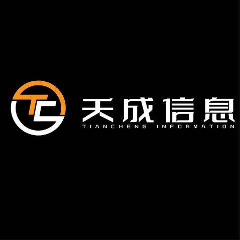 天成信息logo设计