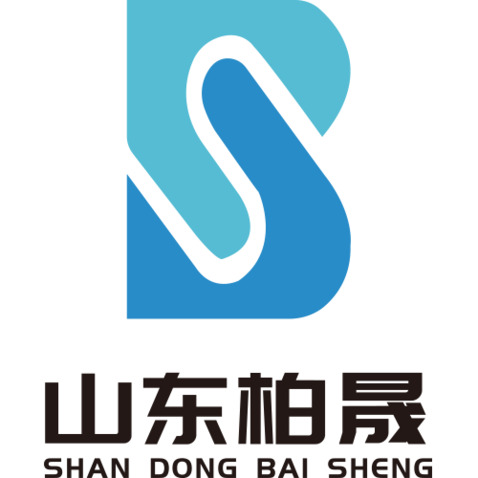 山东柏晟logo设计