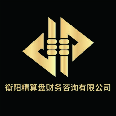 衡阳精算盘财务咨询有限公司logo设计