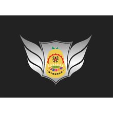 柚子青训俱乐部