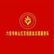 六安市献血支援服务队