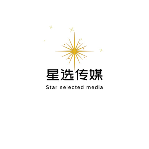 星选传媒logo设计