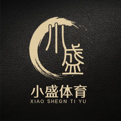 小盛体育logo设计