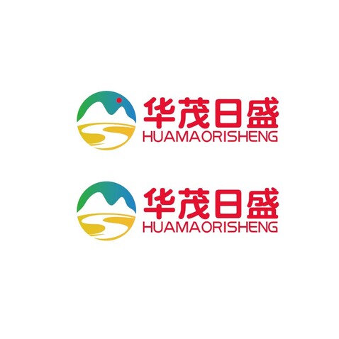 华盛日贸logo设计