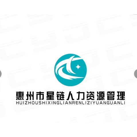 惠州市星链人力资源管理logo设计