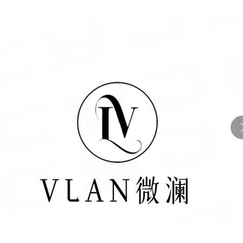 VLAN微澜logo设计