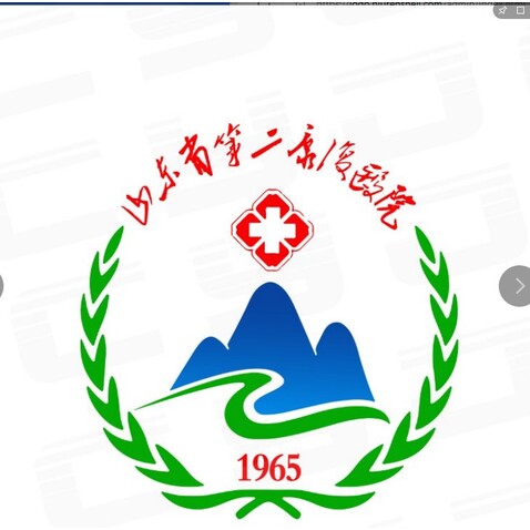 山东省第二康复医院logo设计