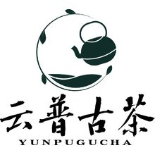 云普古茶